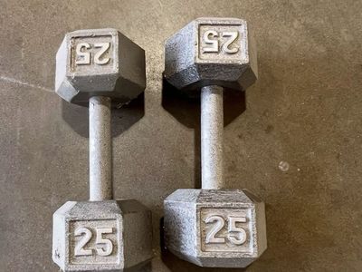 25lb Dumbbells