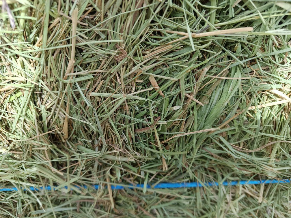 Main image 2