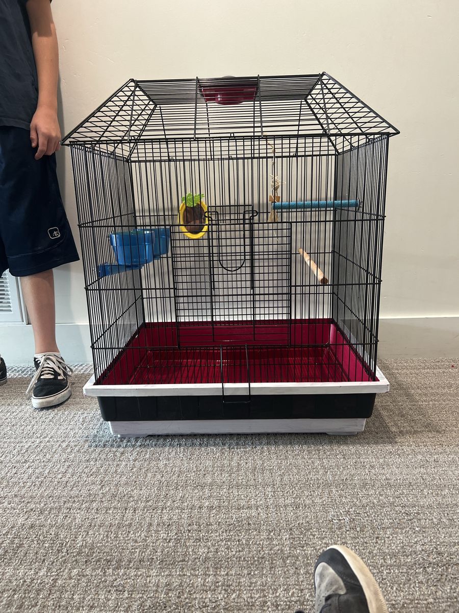 Large Black Bird Cage with Food/Water Bowls, Perches, and Toys - Good Condition