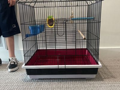 Large Black Bird Cage with Food/Water Bowls, Perches, and Toys - Good Condition