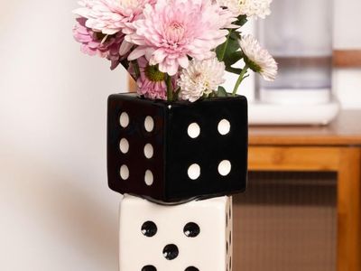 Ceramic Dice Cases