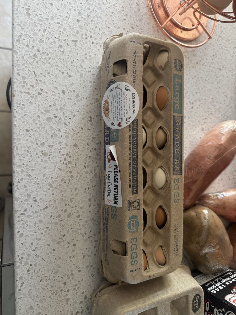 Fresh chicken eggs