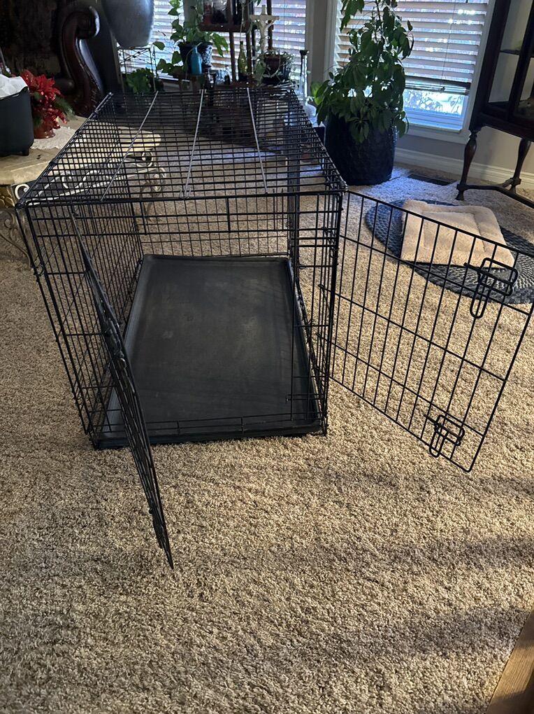 lg Dog CraTe