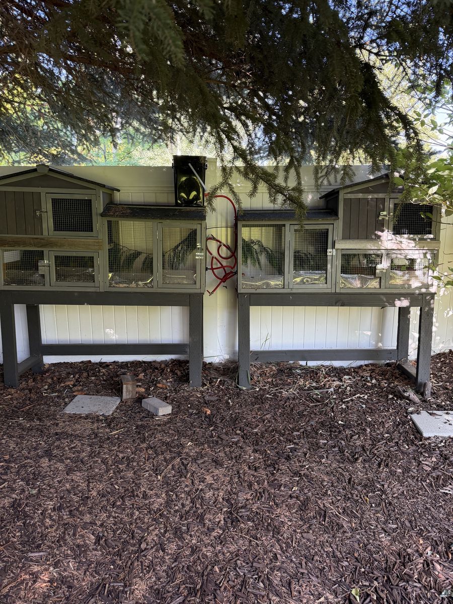 Quail hutches