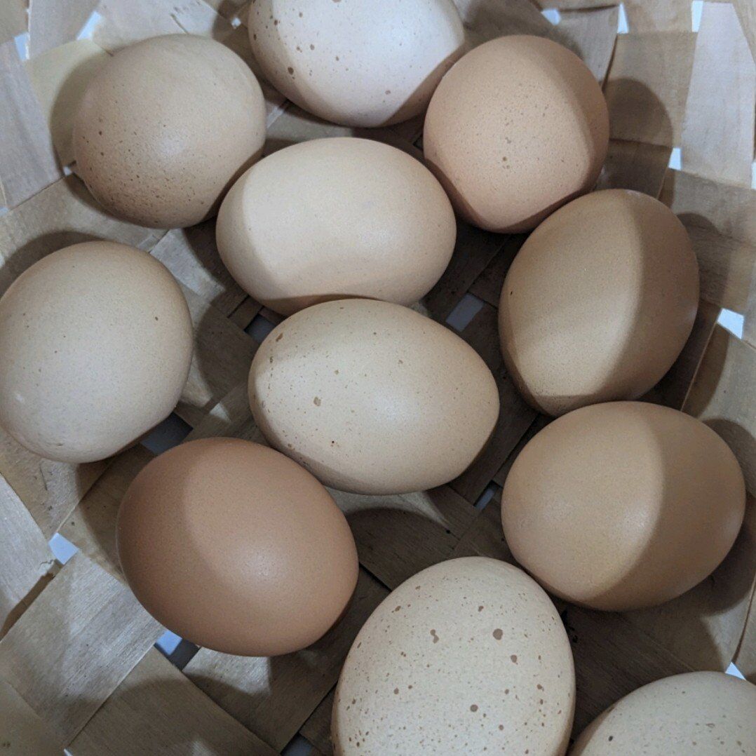 farm fresh eggs