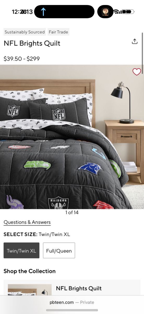 NFL quilt ( pottery barn Teen )