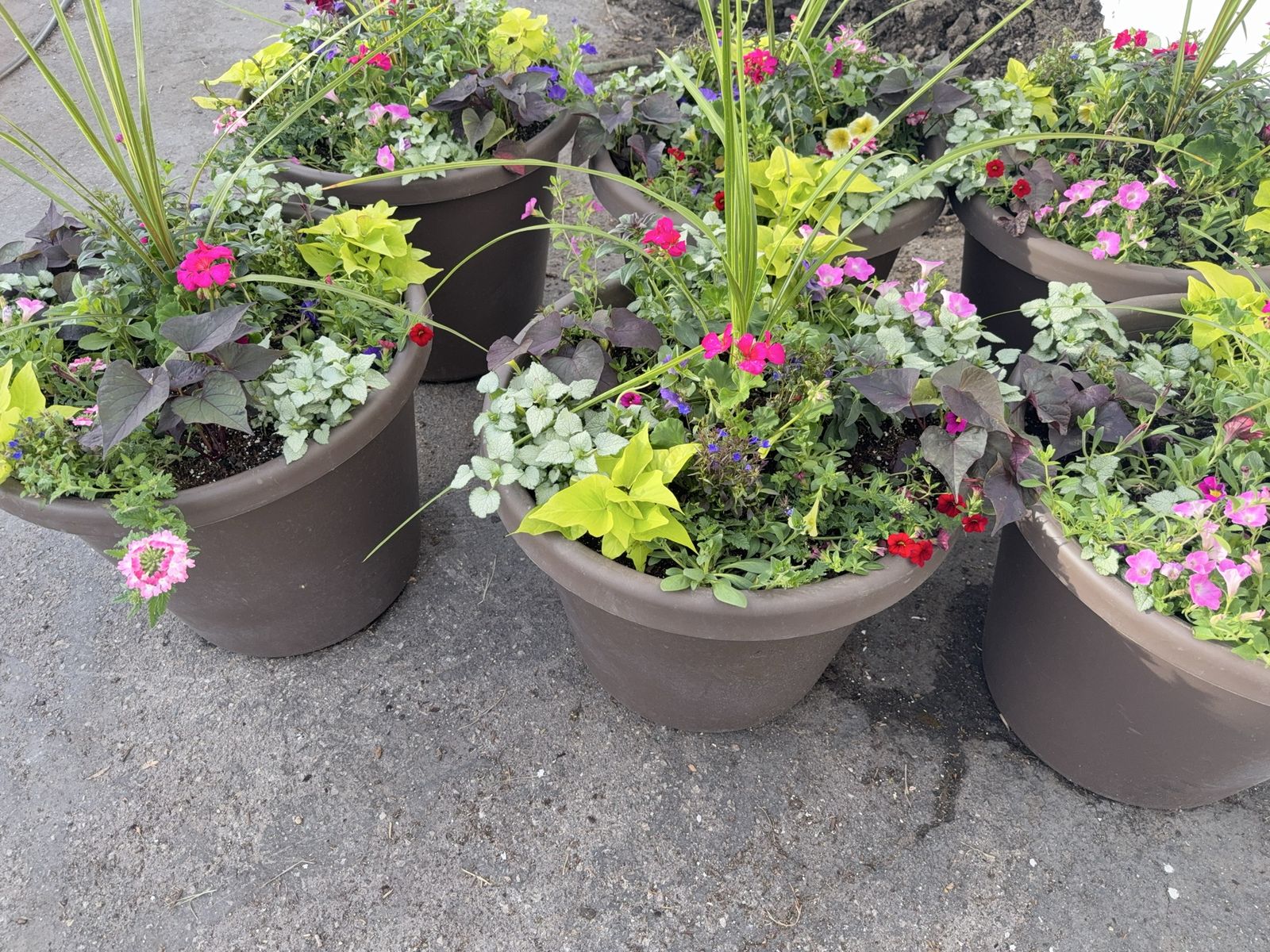 Mothers day flowers galore