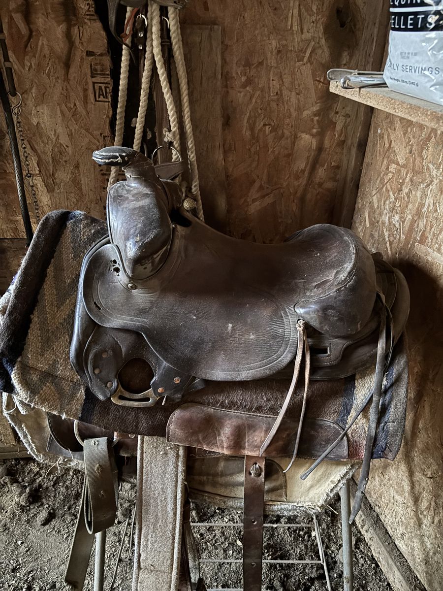 Nice saddle