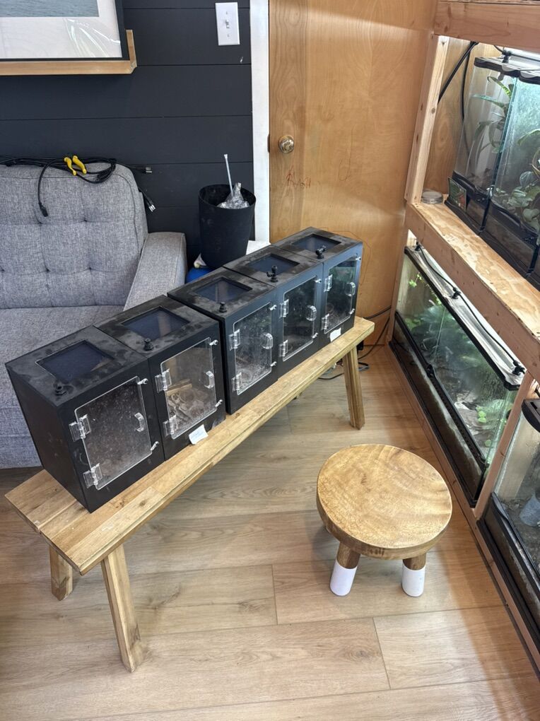 Enclosures Gecko, Lizards, Pvc