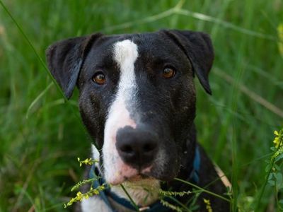 Hello my name is Eowyn