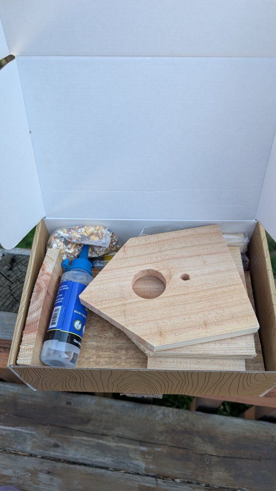 Brand New wooden Spark Jump birdhouse kit for beginners.