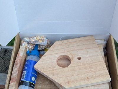 Brand New wooden Spark Jump birdhouse kit for beginners.