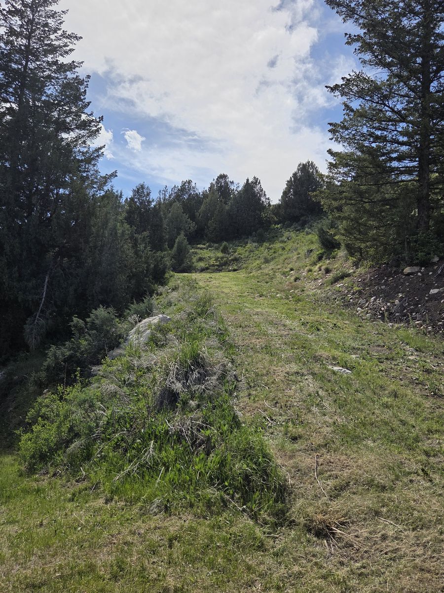 Lava Hot Springs Property