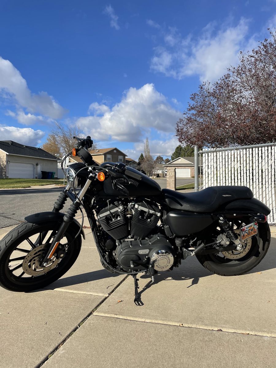 2013 Harley Davidson Sportster XL883