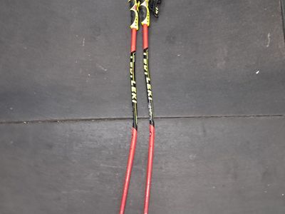 Leki WC junior ski poles