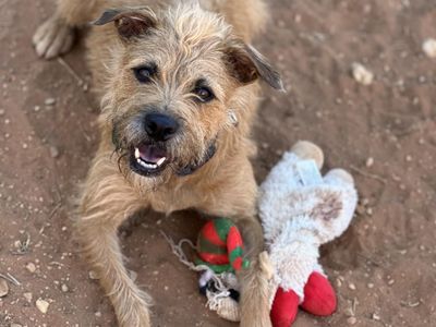 Hello my name is Venus