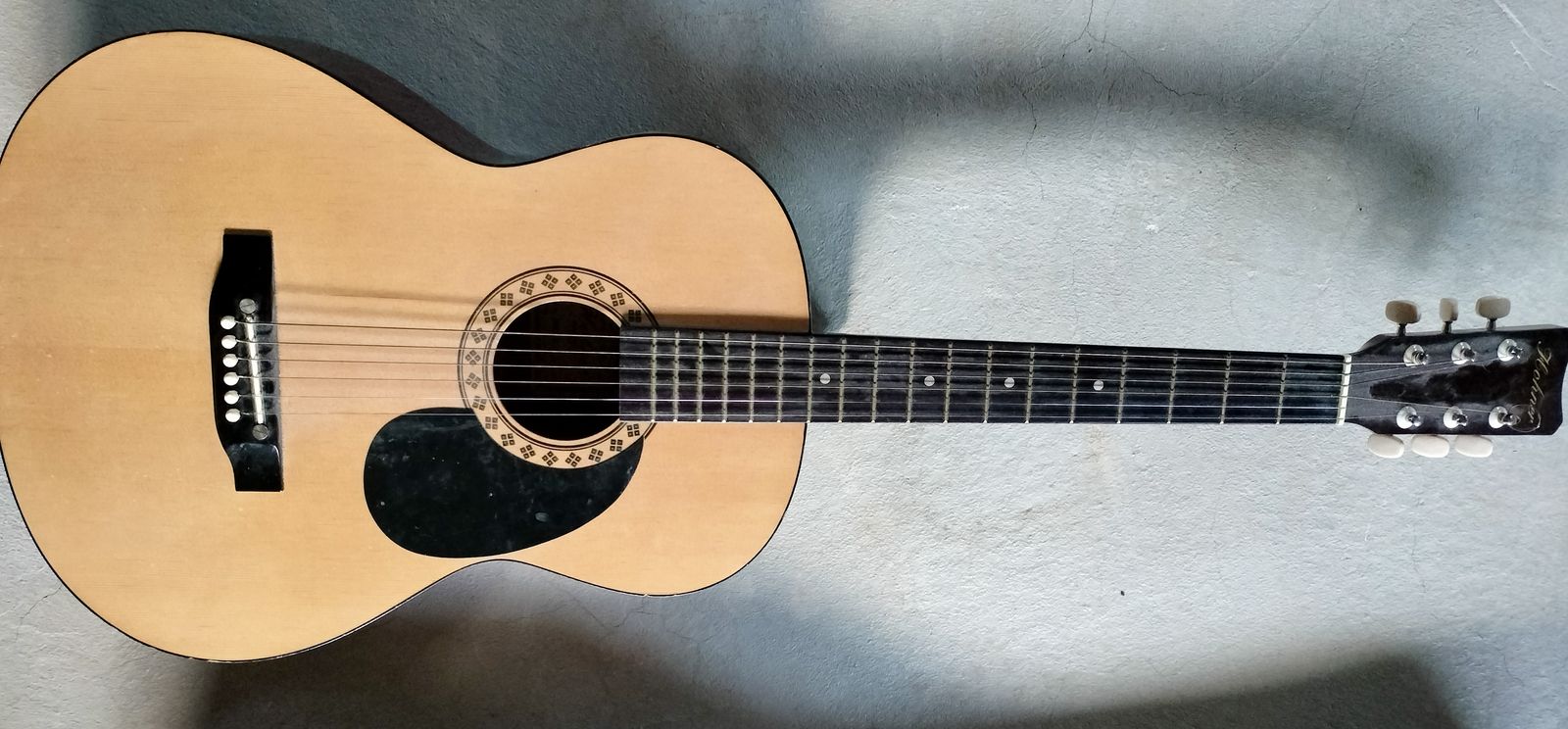 Guitar and Guitar Case