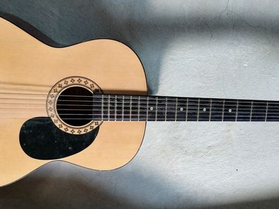 Guitar and Guitar Case