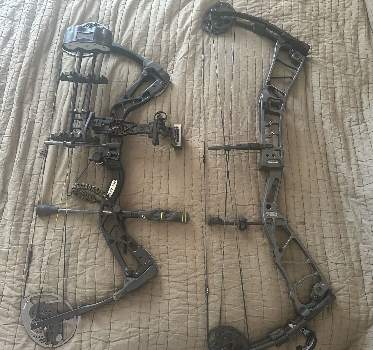 Two Hunting Bows