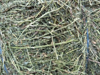 Small Square Hay Bales for Horses & Livestock