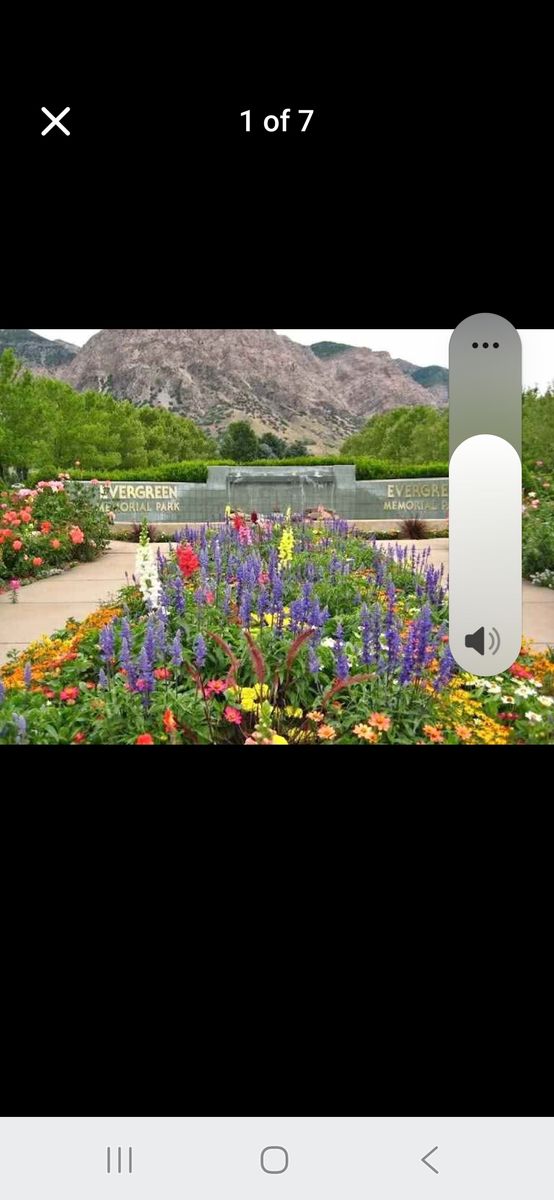 Burial plots