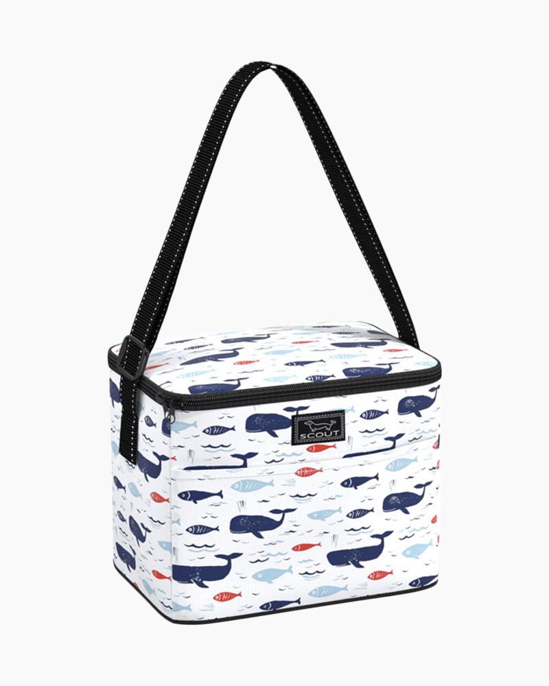 Insulated lunchbox cooler