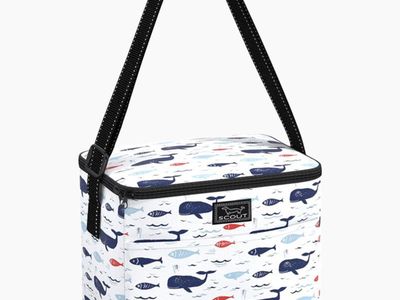 Insulated lunchbox cooler