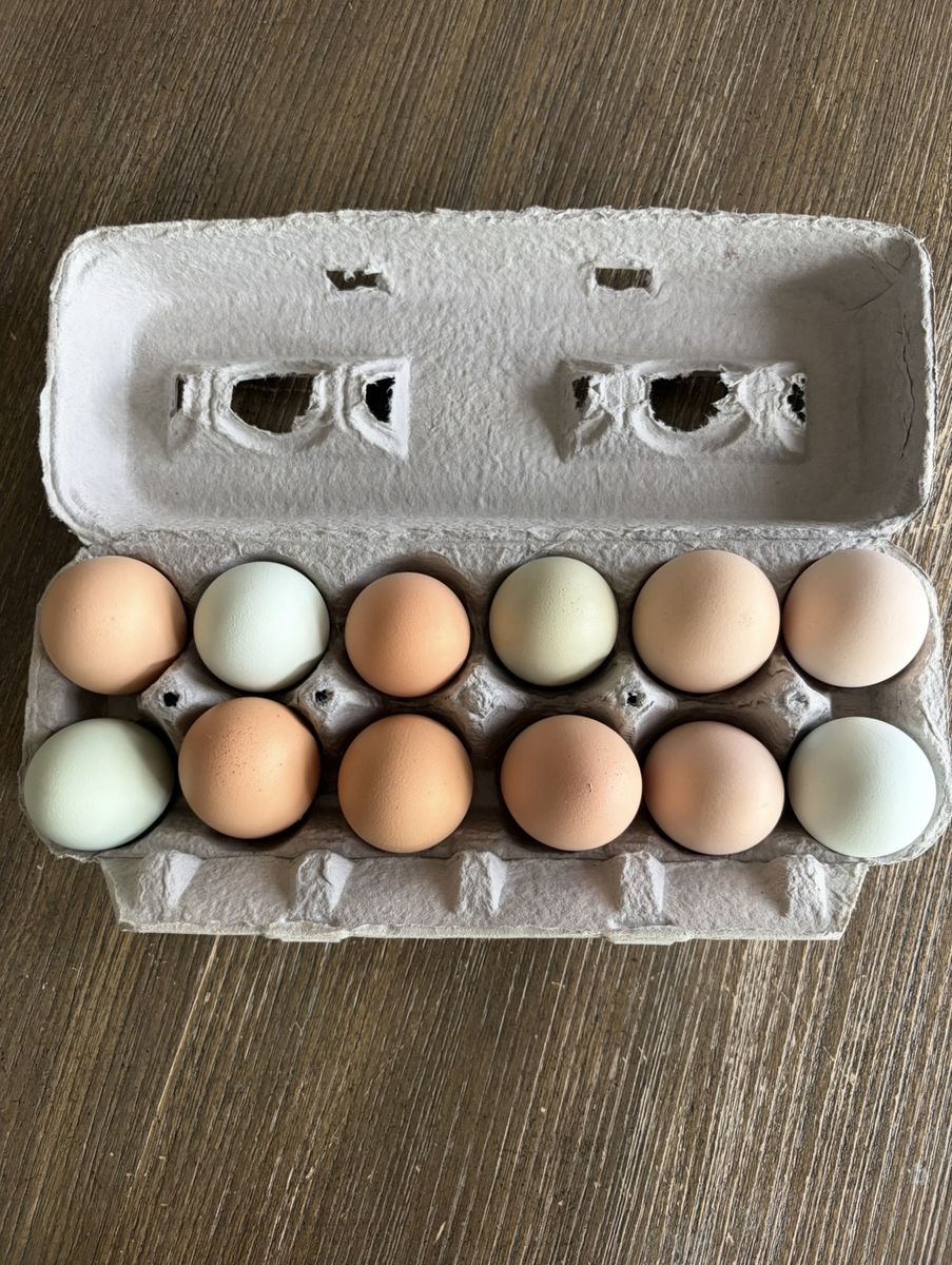 Farm Fresh Eggs - One Dozen Mixed Colors