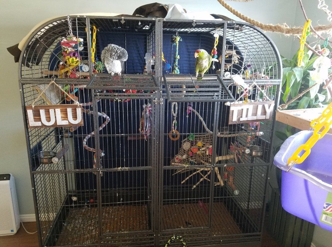 double macaw cage