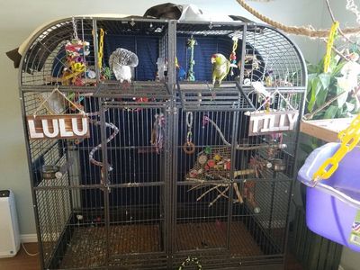 double macaw cage