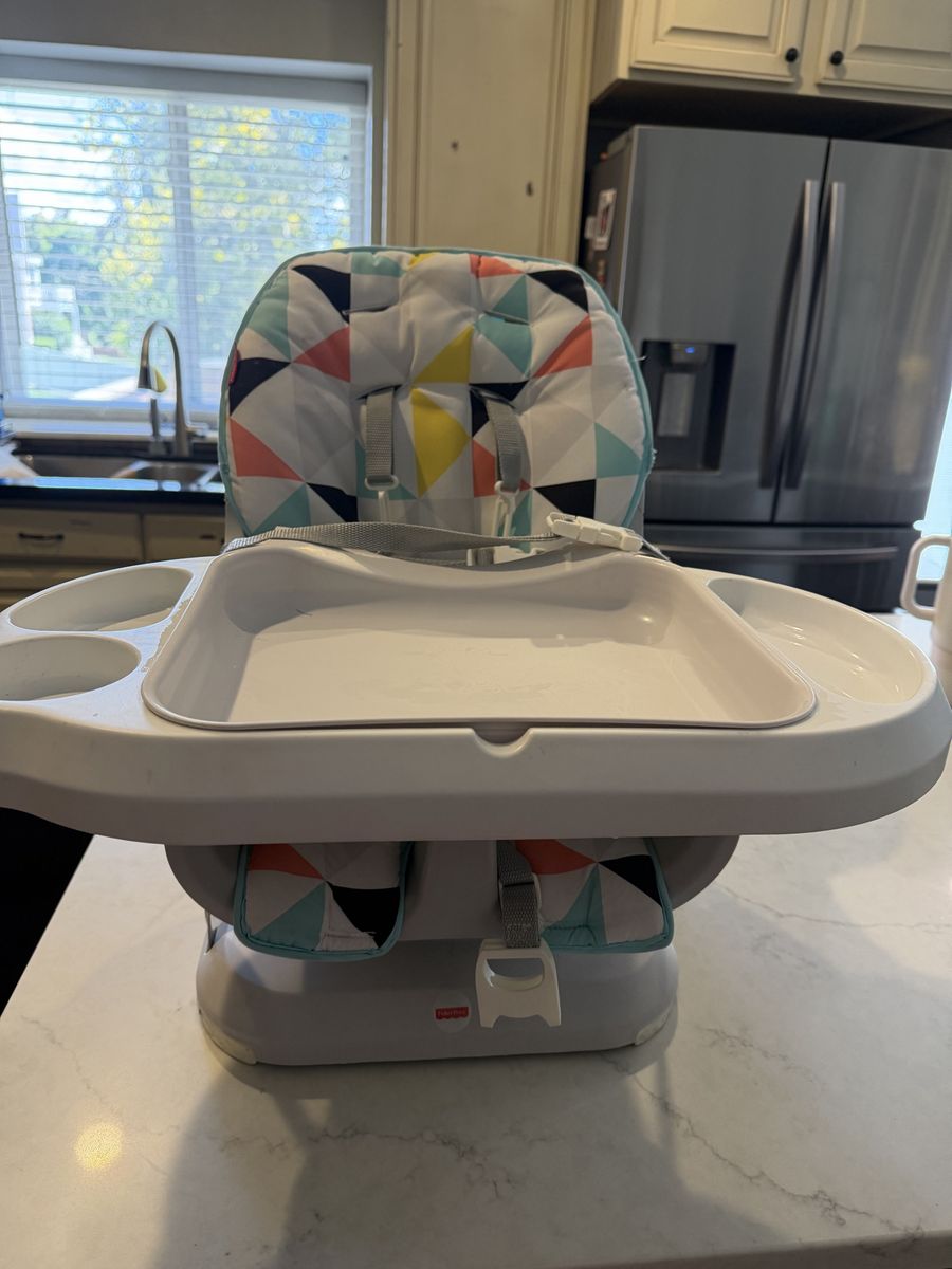 Fisher-Price Infant-to-Toddler Floor Seat with Tray