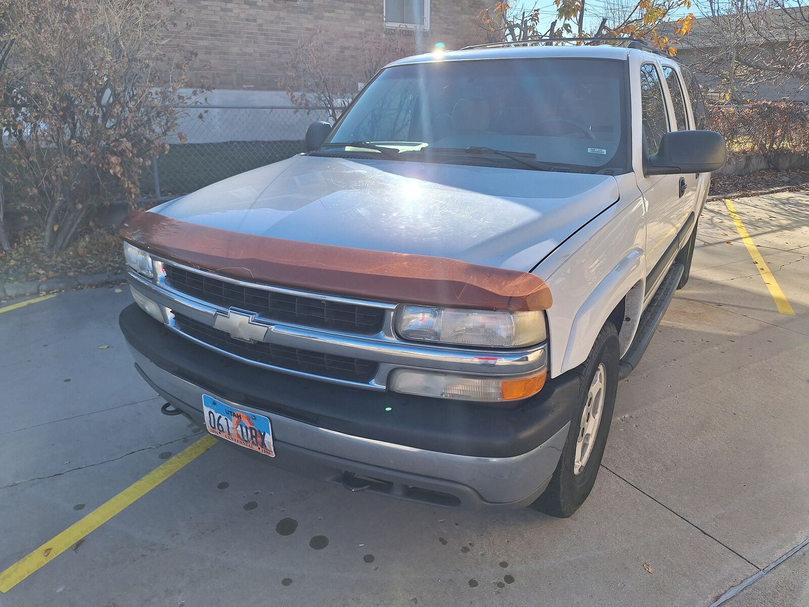Main image 6