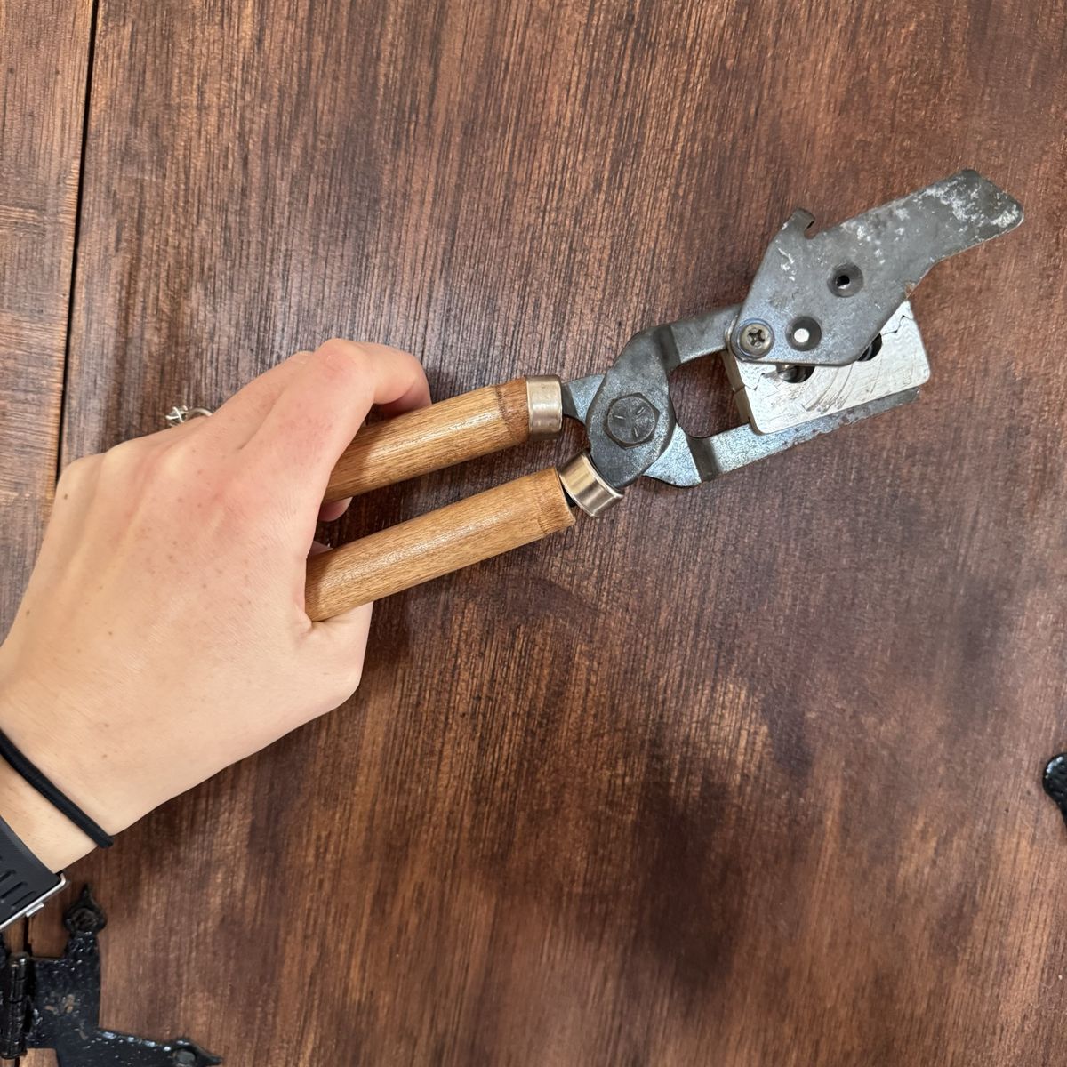 Lee 90299 44 Special, 44 Rem Bullet Mold