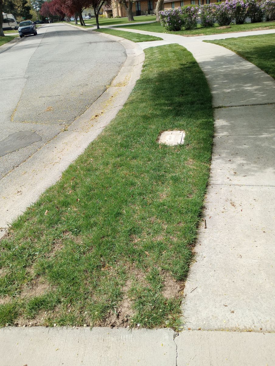 Free Soil for the removal