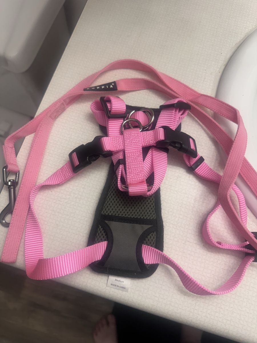 Pink dog/cat harness w/leash