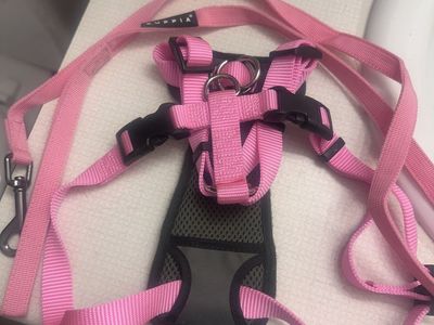 Pink dog/cat harness w/leash