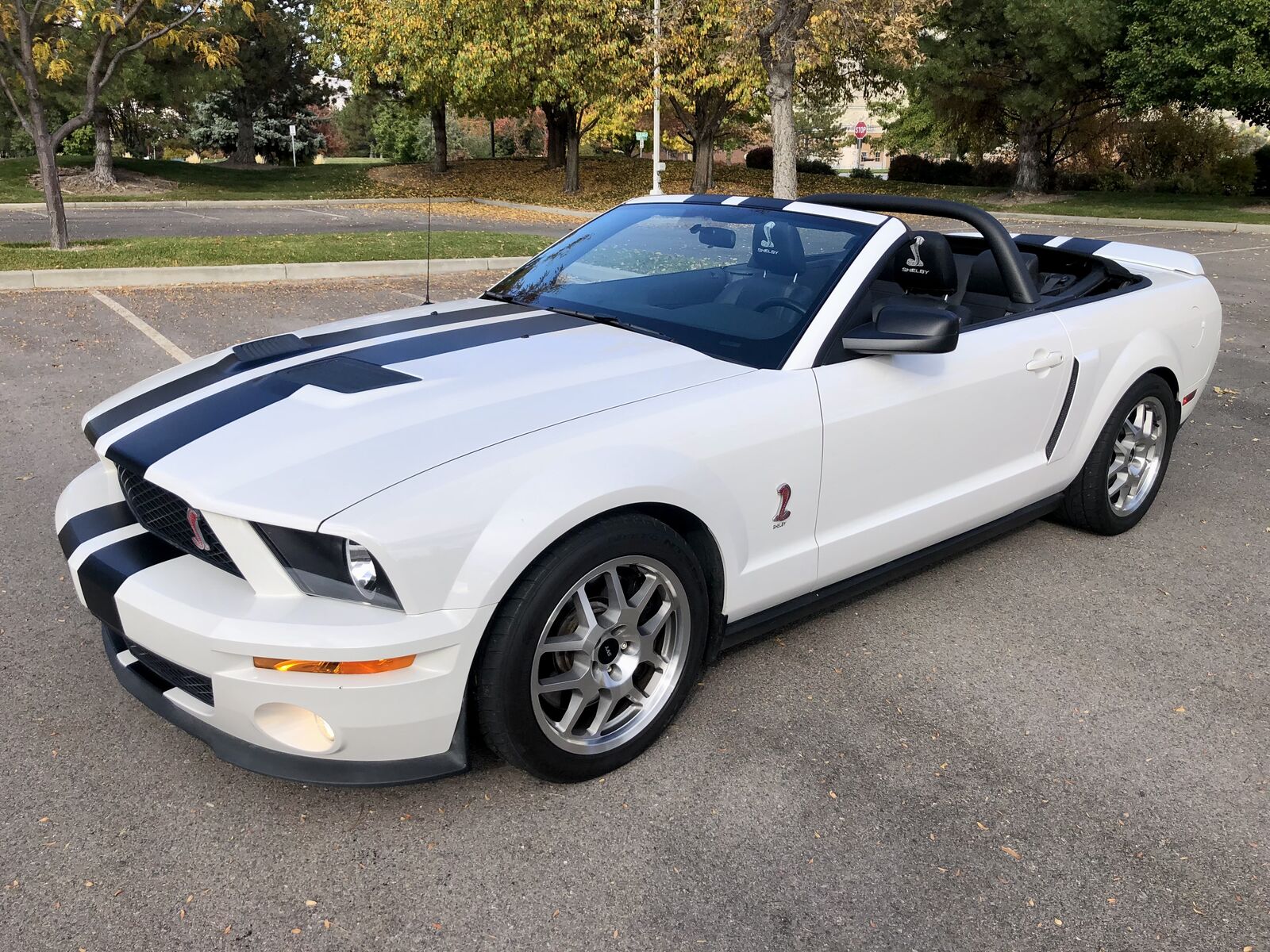 2008 Ford Shelby GT500 Base