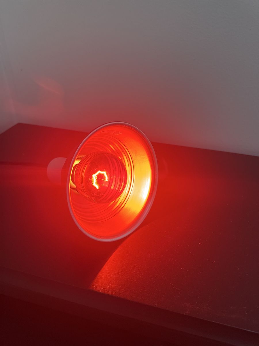 Infrared Heat Lamp Bulb - Red Light Therapy Bulb