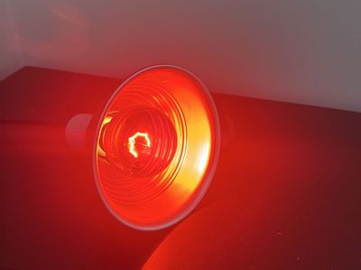 Infrared Heat Lamp Bulb - Red Light Therapy Bulb