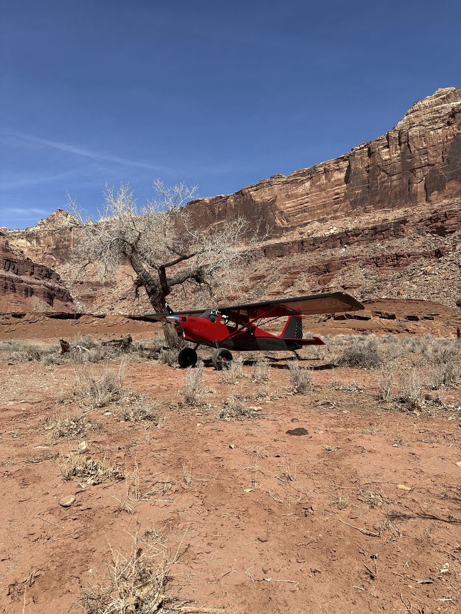 2014 American Champion Scout 8GCBC Airplane - Single-Engine Fixed-Wing Aircraft