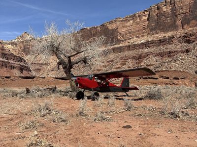 2014 American Champion Scout 8GCBC Airplane - Single-Engine Fixed-Wing Aircraft