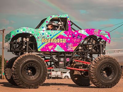 1/3 Scale Mini Monster Trucks - Package Deal 2 Trucks!