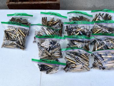 Once Fired 30-06 Brass