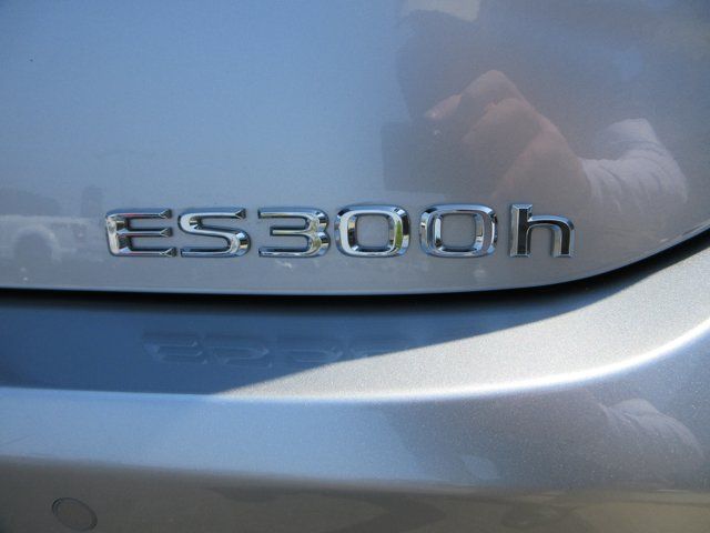 Main image 8
