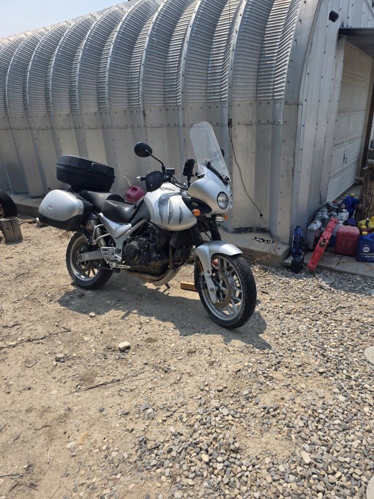 Triumph Tiger 955i 