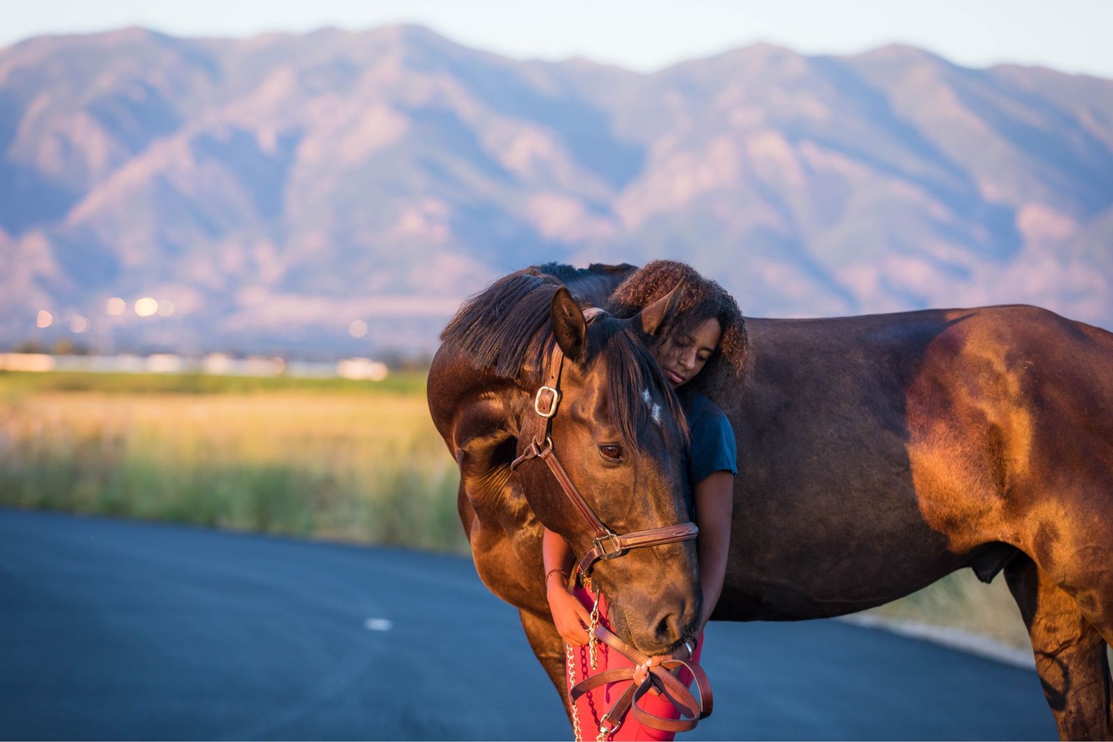 Jett - 16.3Hh Mustang Gelding