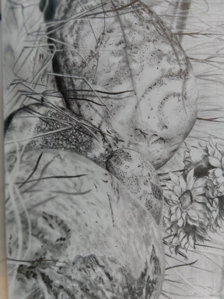 Handmade Pencil Sketch Floral Artwork with Dew Drops