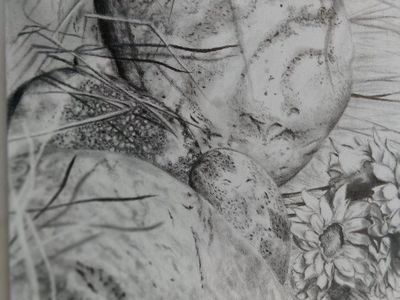 Handmade Pencil Sketch Floral Artwork with Dew Drops
