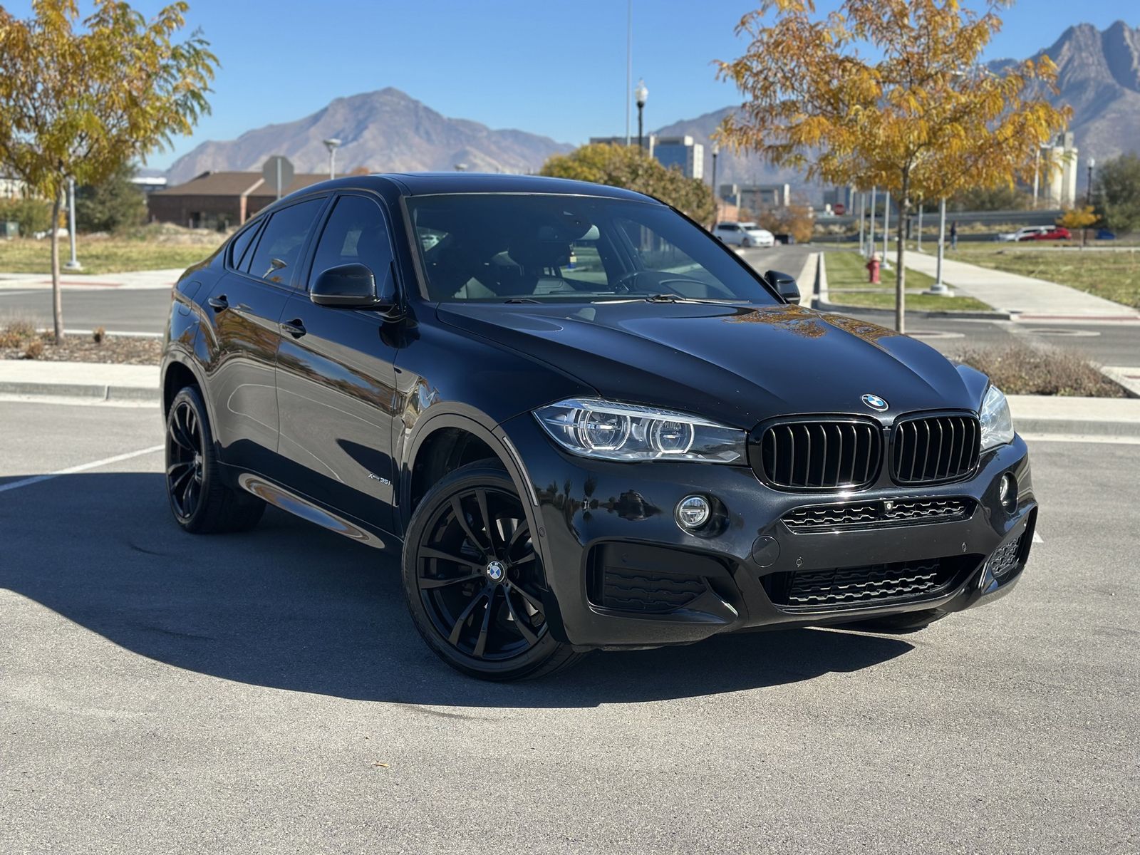 2017 BMW X6 xDrive35i