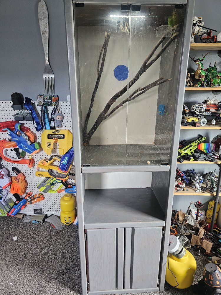 two budgie parakeets and enclosure made from old stereo cabinet. two bins of supplies and food included